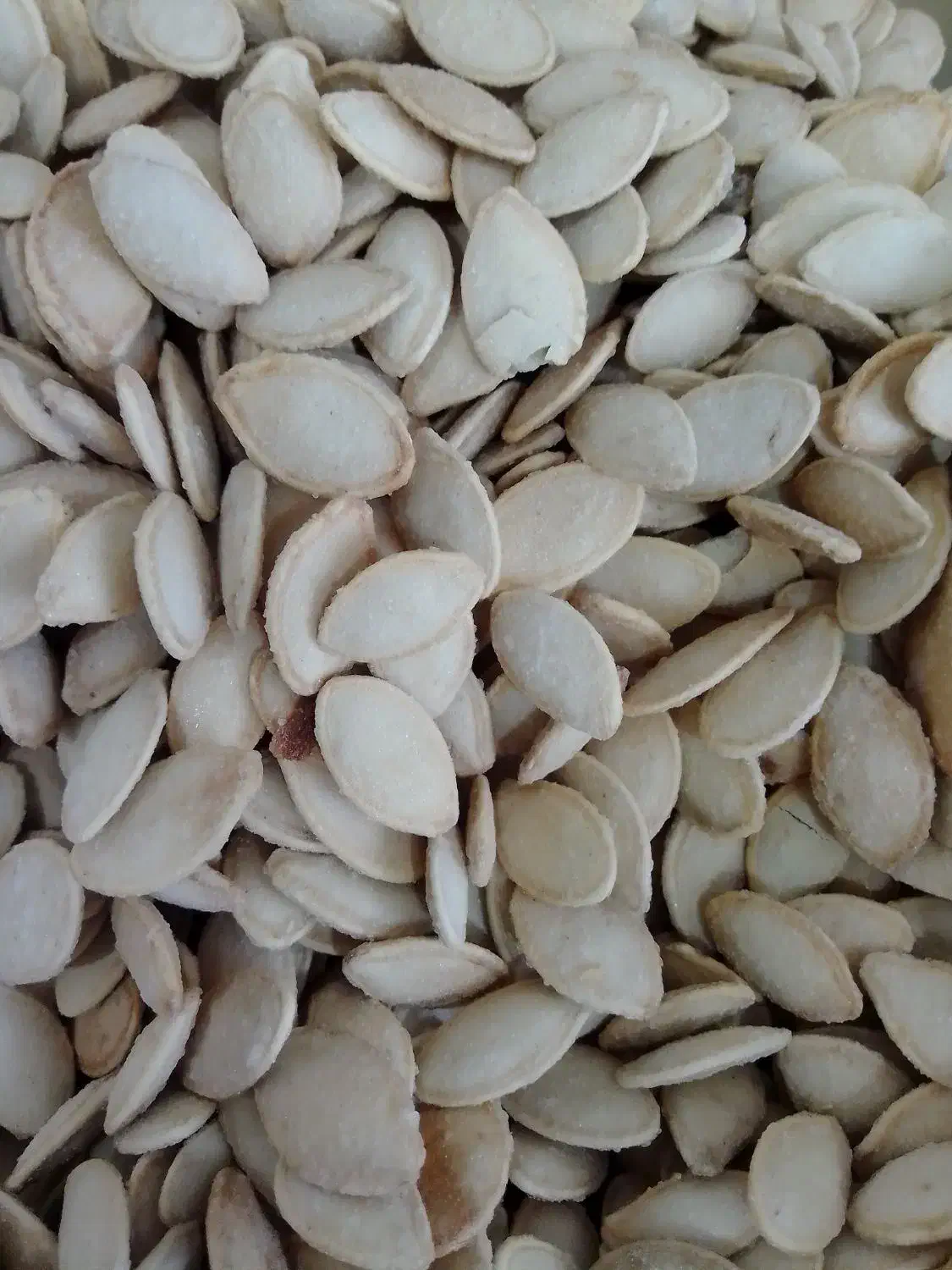 بادام+|خوردنی و آشامیدنی|قم, باسکول|دیوار