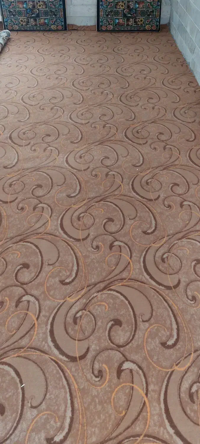 موکت و قالیچه|فرش|بیرجند, |دیوار