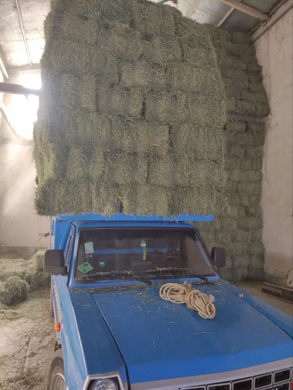 یونجه انباری|لوازم جانبی حیوانات|مشهد, خواجه ربیع|دیوار