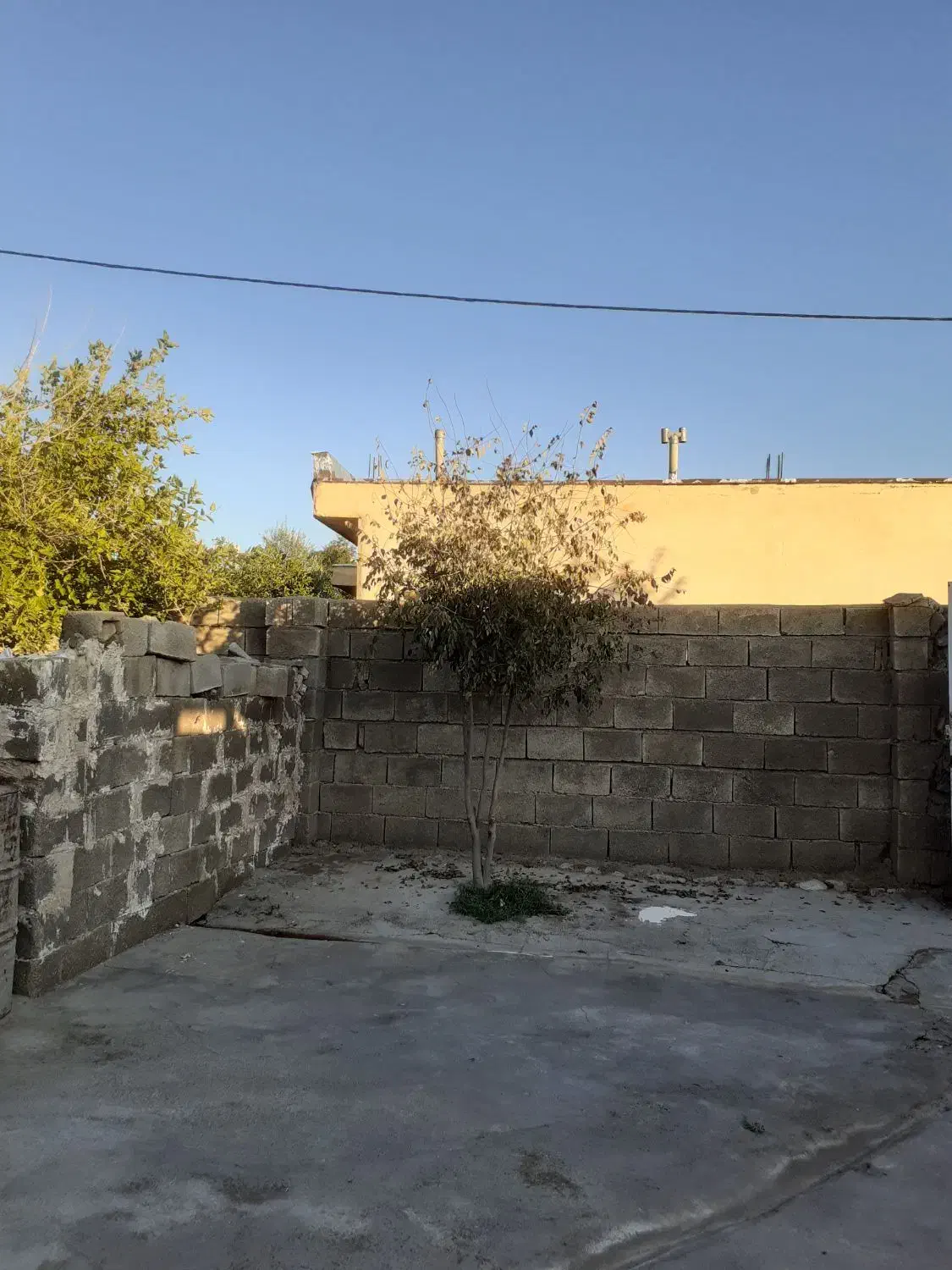 سلام یک عدد چپش سفید ماده گم شده|حیوانات|آبدانان, |دیوار