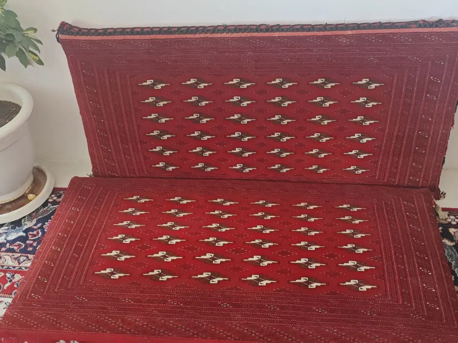 پشتی ترکمنی نو|پشتی|بجنورد, |دیوار