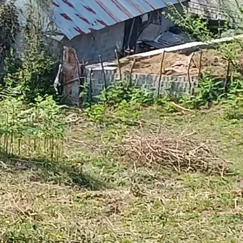 4617متر 500متر مسکونی|فروش زمین و ملک کلنگی|لاهیجان, آهندان|دیوار