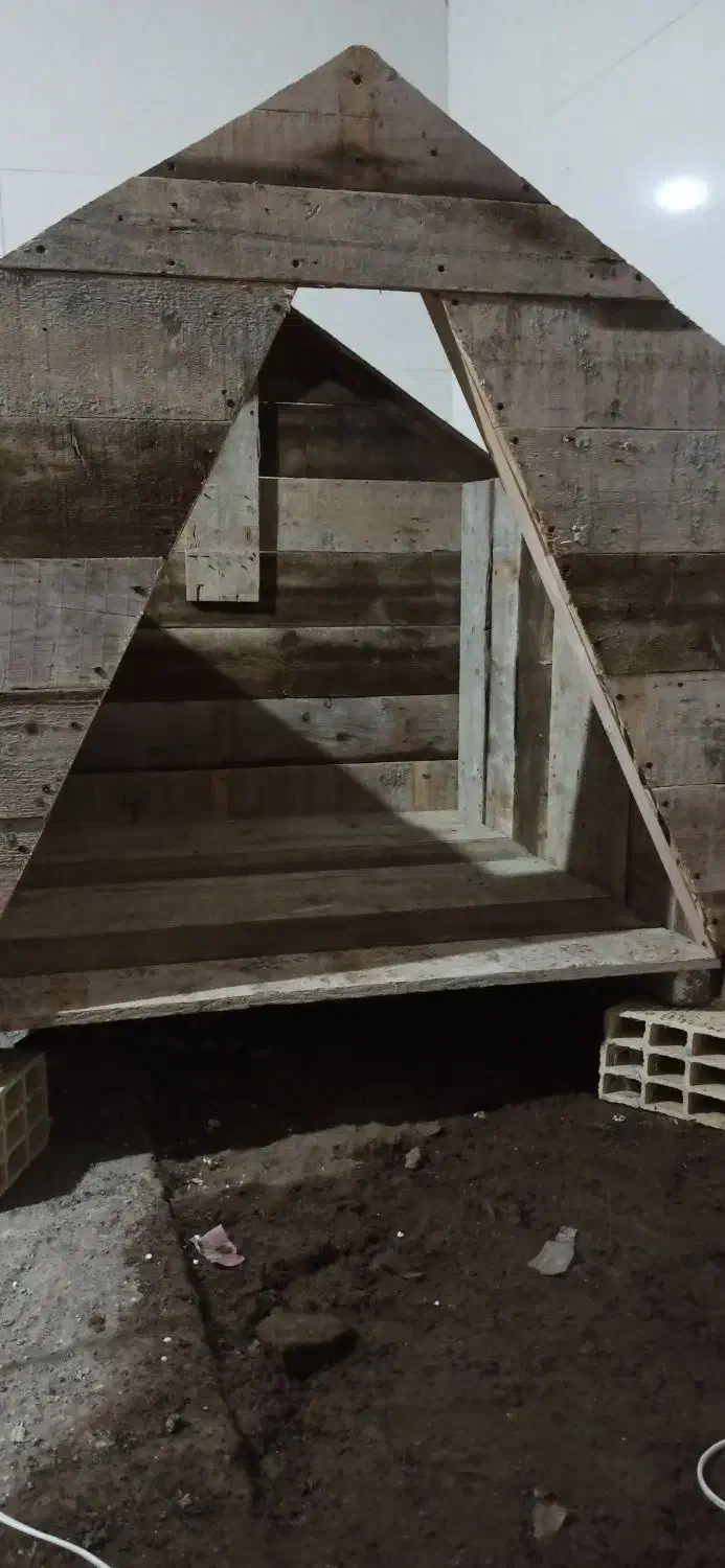 سگ دوبر من|سگ|لنگرود, |دیوار