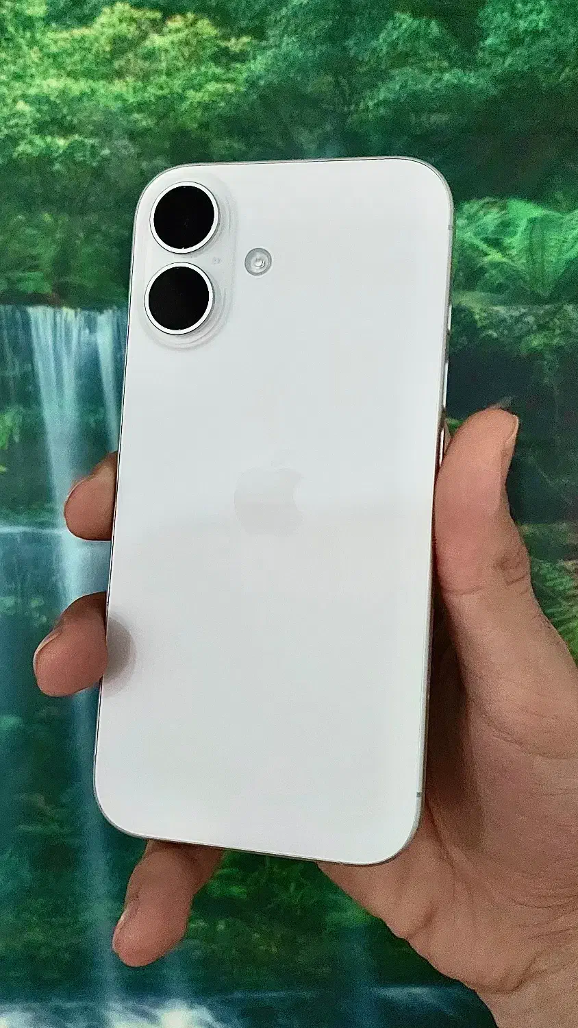 ایفون 16 دوسیم - فوق تمیز و سالم|موبایل|بهشهر, |دیوار