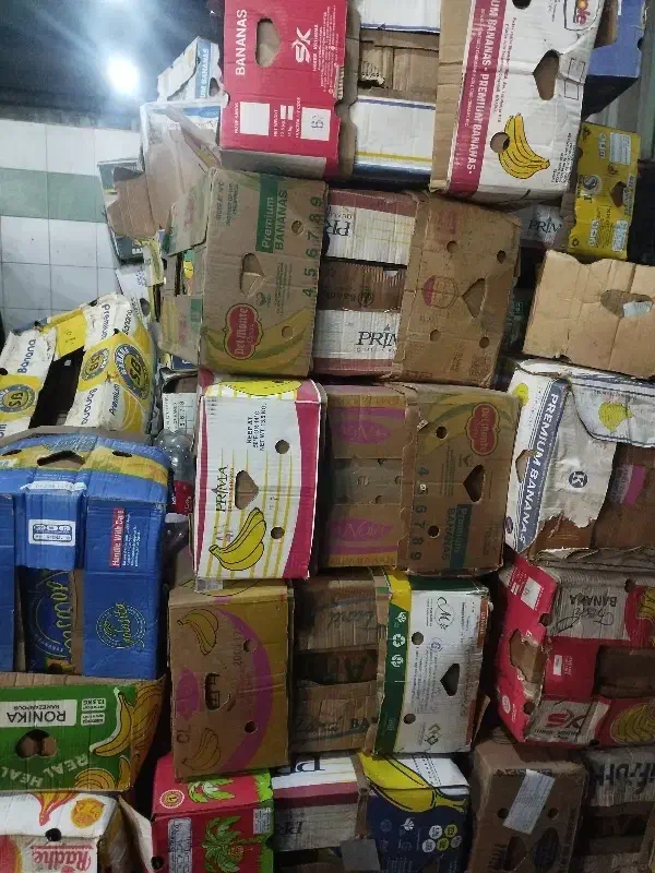 کارتن موزی دارم میفروشم|عمدهفروشی|مشهد, سپاد|دیوار