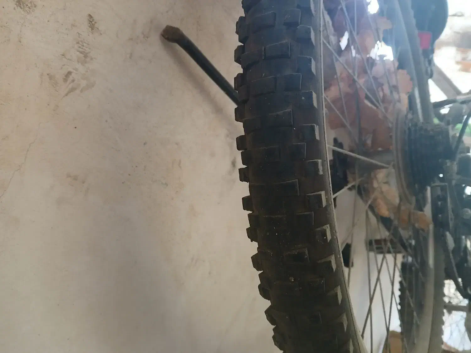 دو عدد دوچرخه|دوچرخه، اسکیت، اسکوتر|کرج, حاجی آباد|دیوار