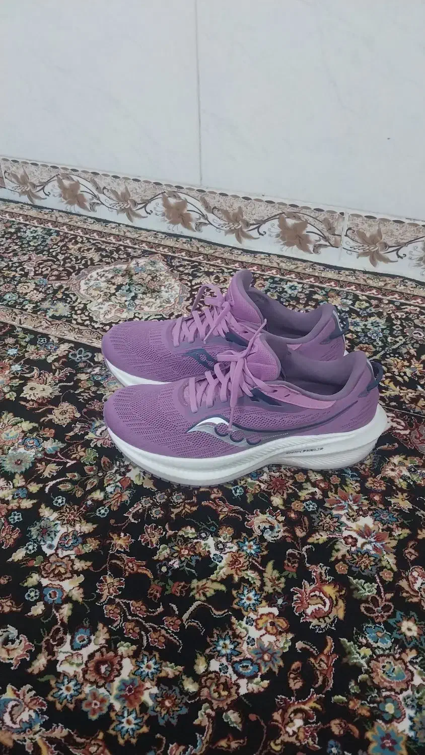 کفش ساکوآمریکایی|کیف، کفش، کمربند|جوانرود, |دیوار