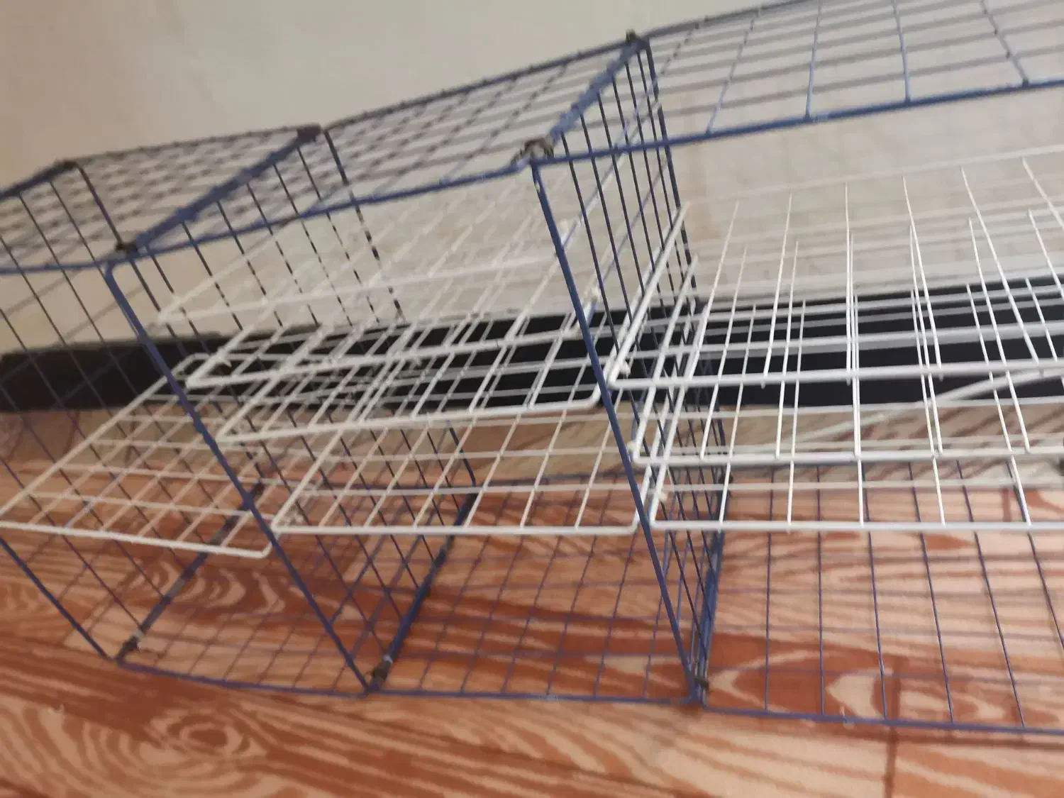 طبقه توری روکش دار به فروش میرسد|کتابخانه، شلف، قفسههای دیواری|دوگنبدان, |دیوار