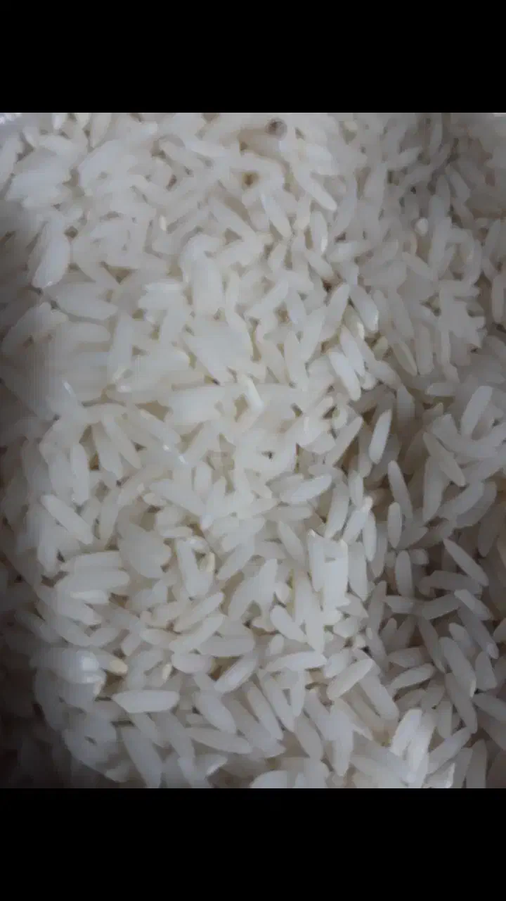 برنج طارم هاشمی|خوردنی و آشامیدنی|اصفهان, بوستان ناژوان|دیوار