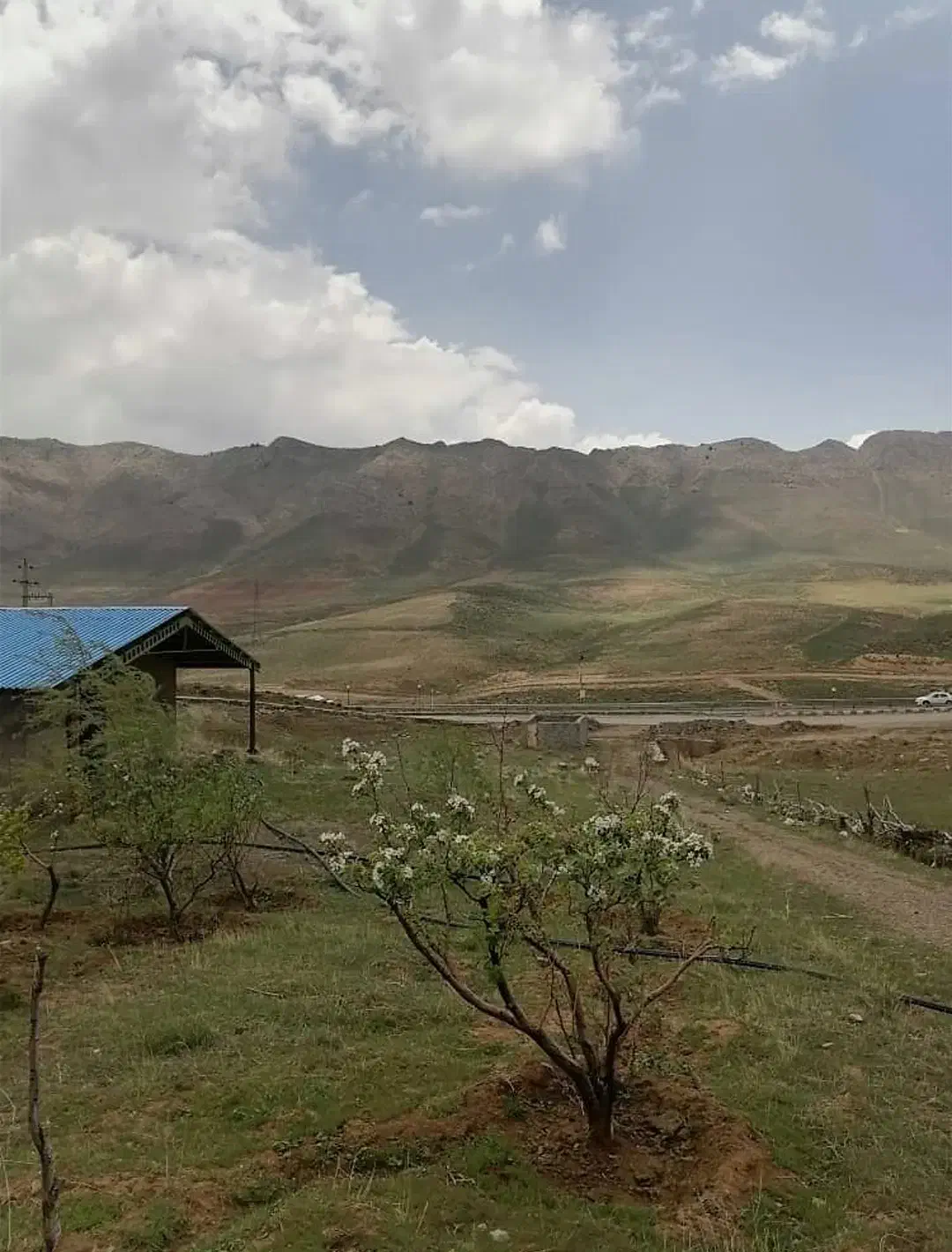 زمین بهترین نقطه اتوبان دماوندواجاره یک باب سوله|فروش خانه و ویلا|دماوند, دماوند|دیوار