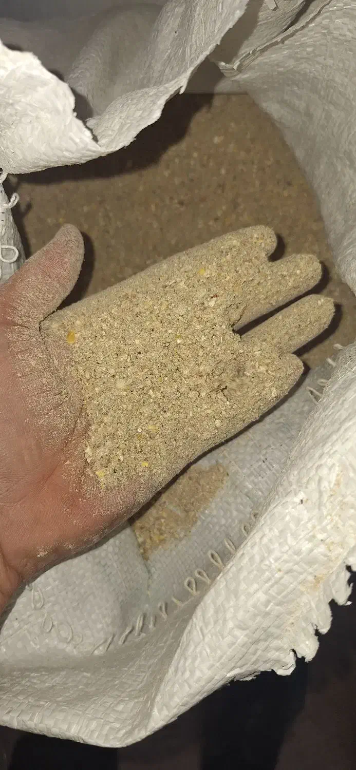 گندم ذرت سویا|لوازم جانبی حیوانات|ترکمانچای, |دیوار