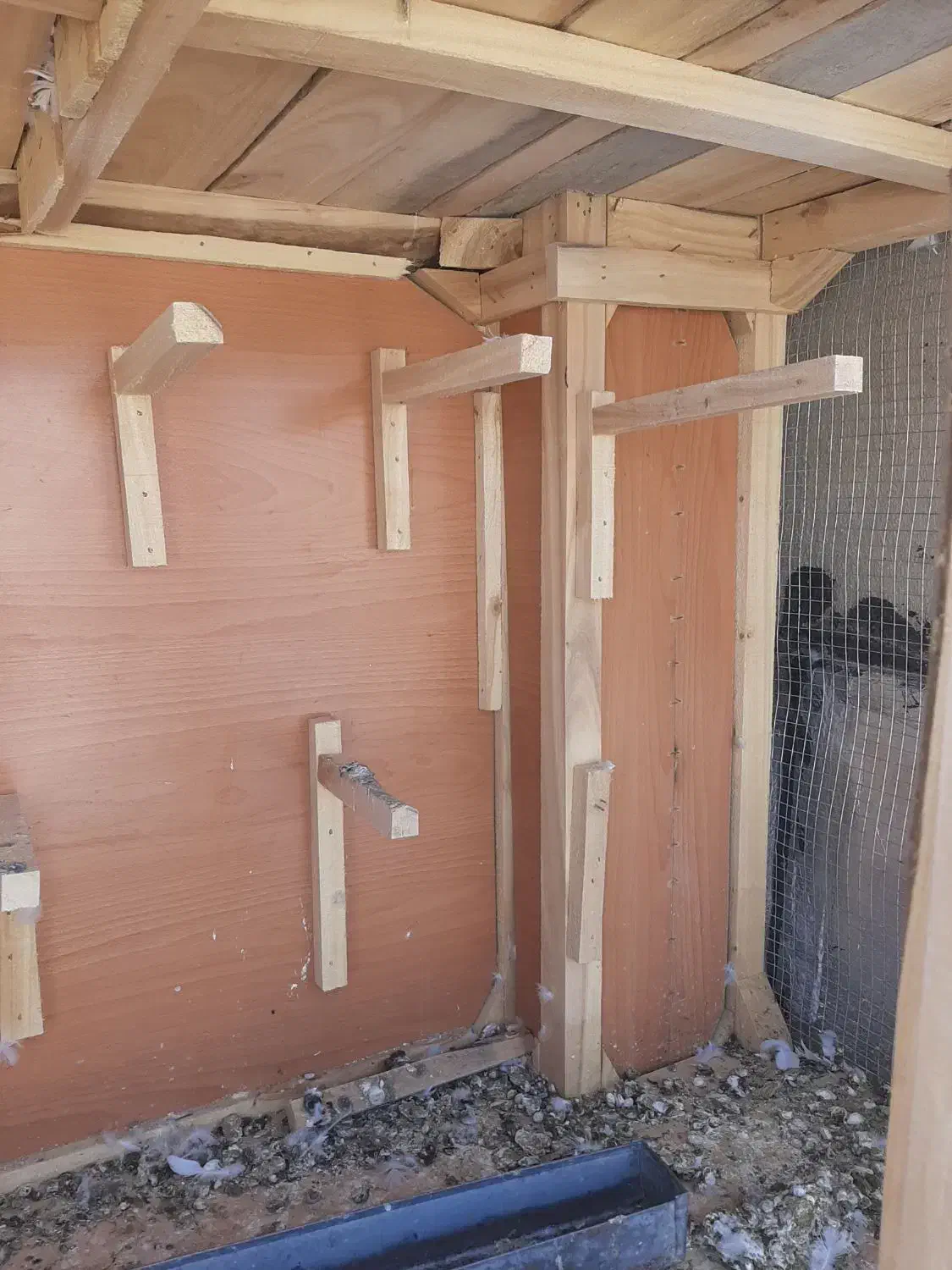 قفس جفت کن|لوازم جانبی حیوانات|داران, |دیوار