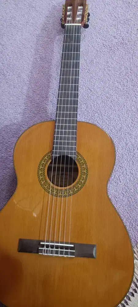 gitar chaard|گیتار، بیس، امپلیفایر|یاسوج, |دیوار