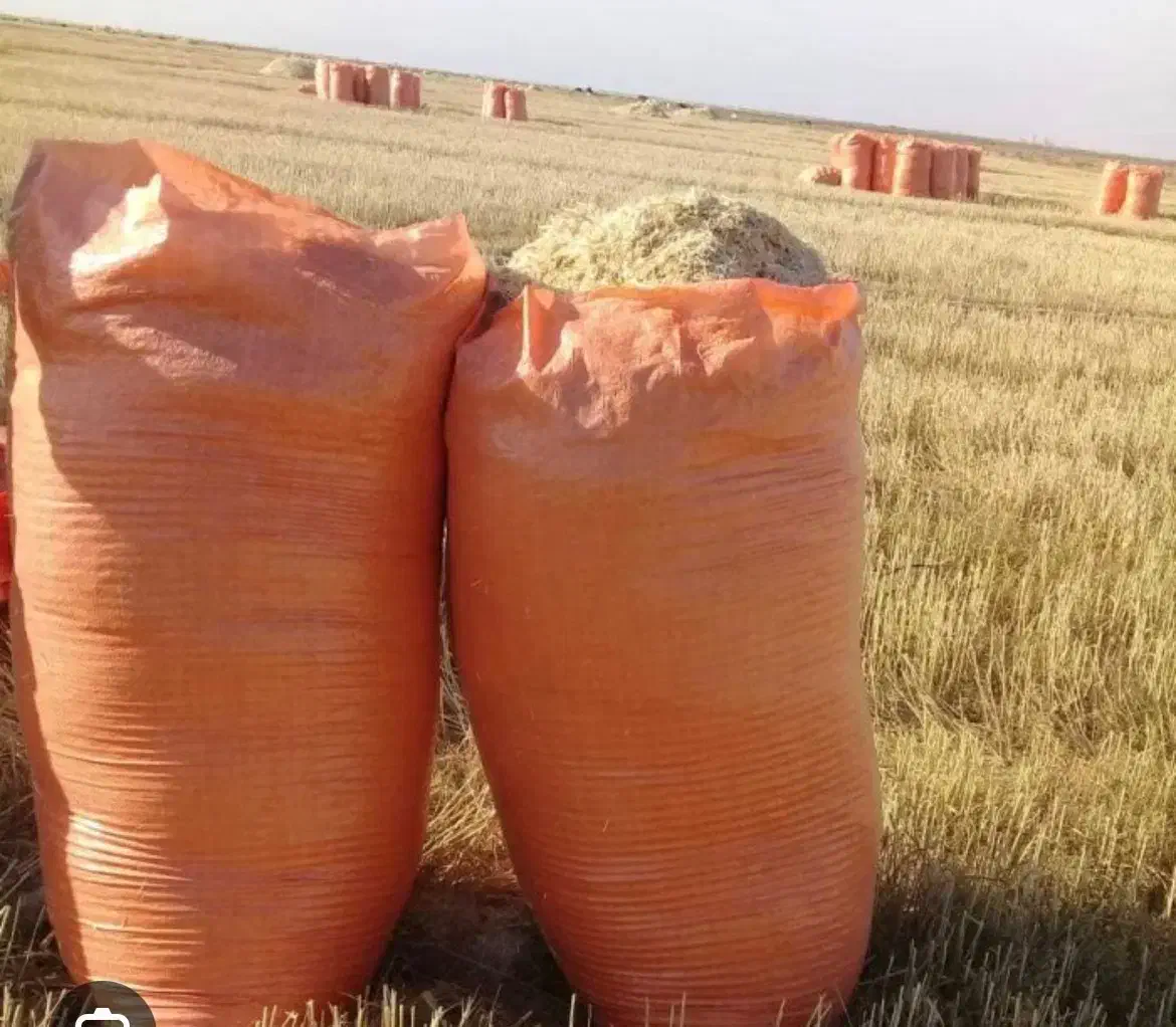 فروش ۱۰تن کاه|حیوانات مزرعه|دهدشت, |دیوار