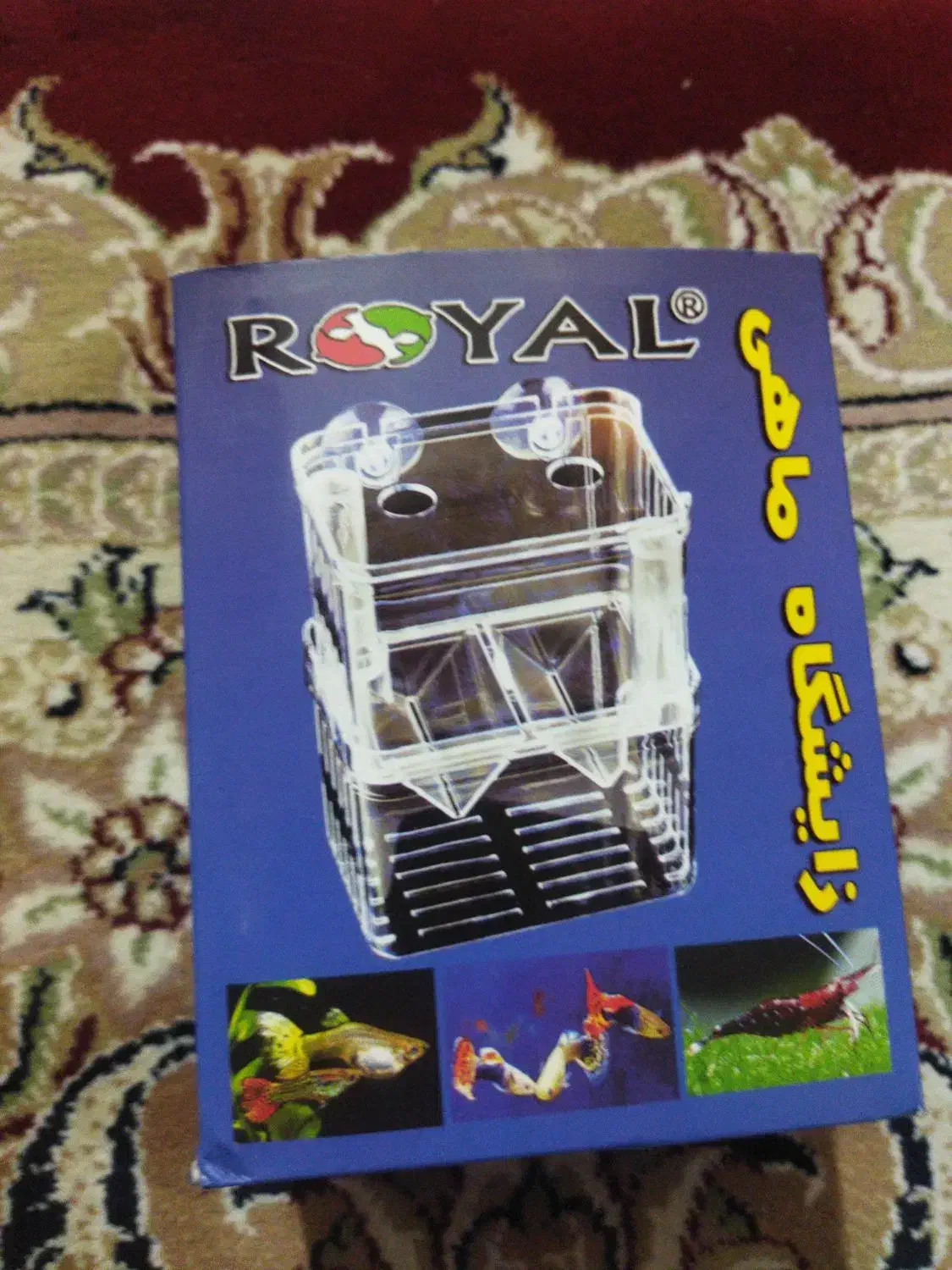 زایشگاه ماهی گوپی|ماهی|گرگان, |دیوار