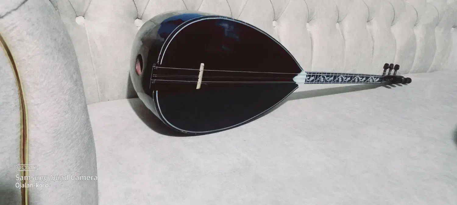 ساز خوش صدا در حد نو|سازهای سنتی|سلماس, |دیوار