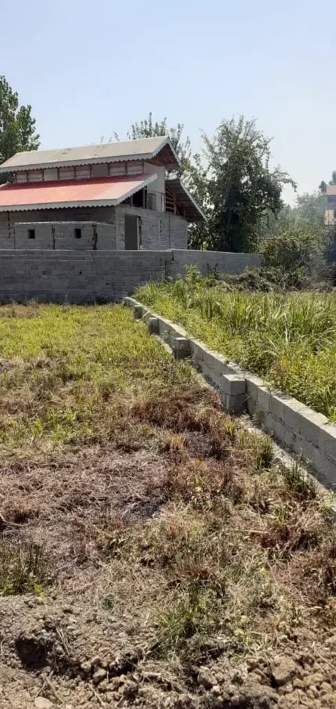 فروش زمین 500 متری تازاباد سیاهکل محصور|فروش زمین و ملک کلنگی|سیاهکل, |دیوار