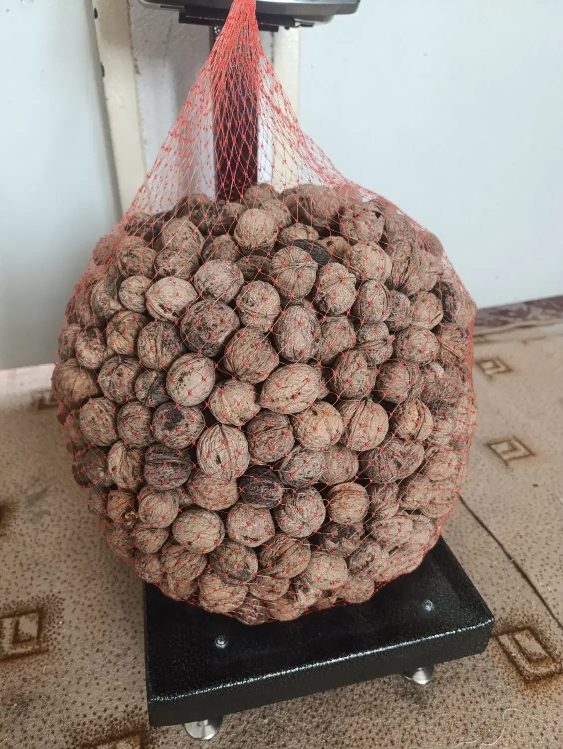 گردو محلی شهرستان بافت کیلویی 800ت|خوردنی و آشامیدنی|قشم, |دیوار