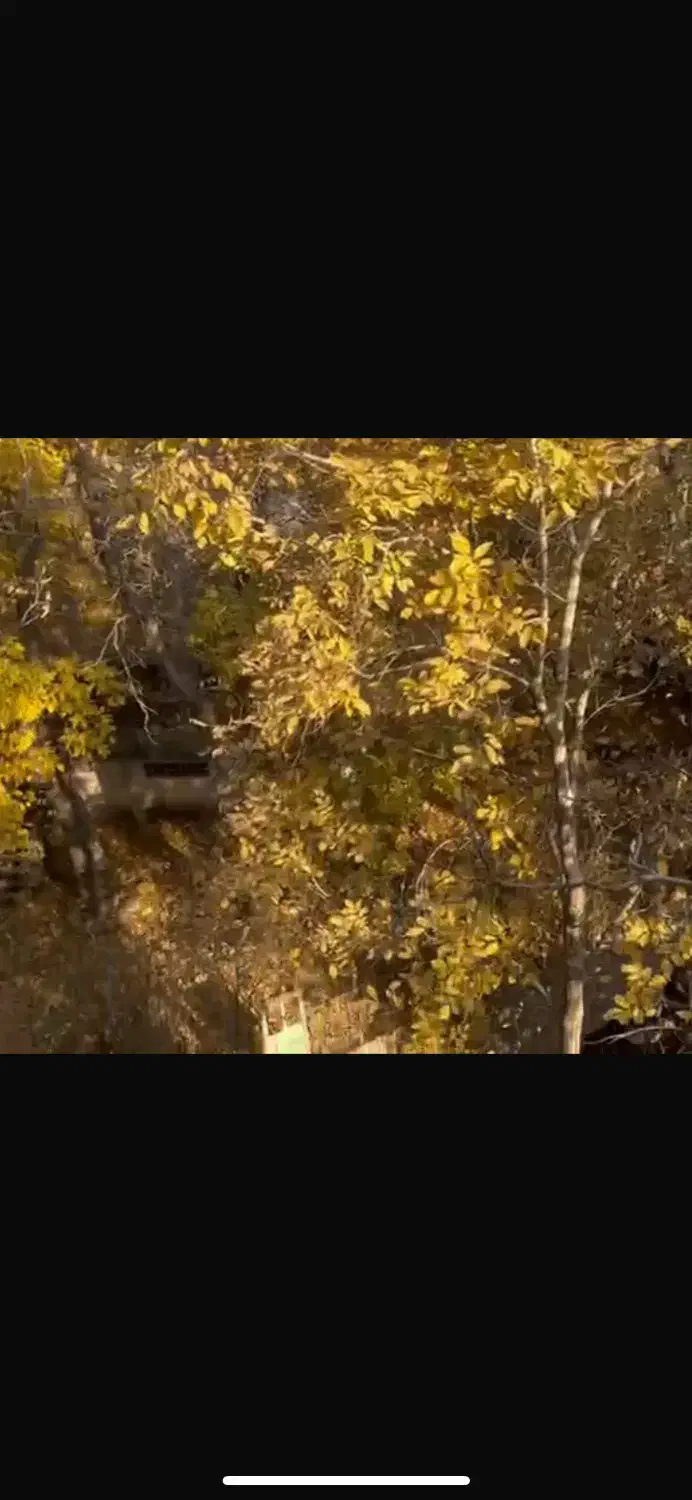 اجاره اپارتمان املاک اسپرس خانم میرزایی|اجارهٔ آپارتمان|فشم, |دیوار