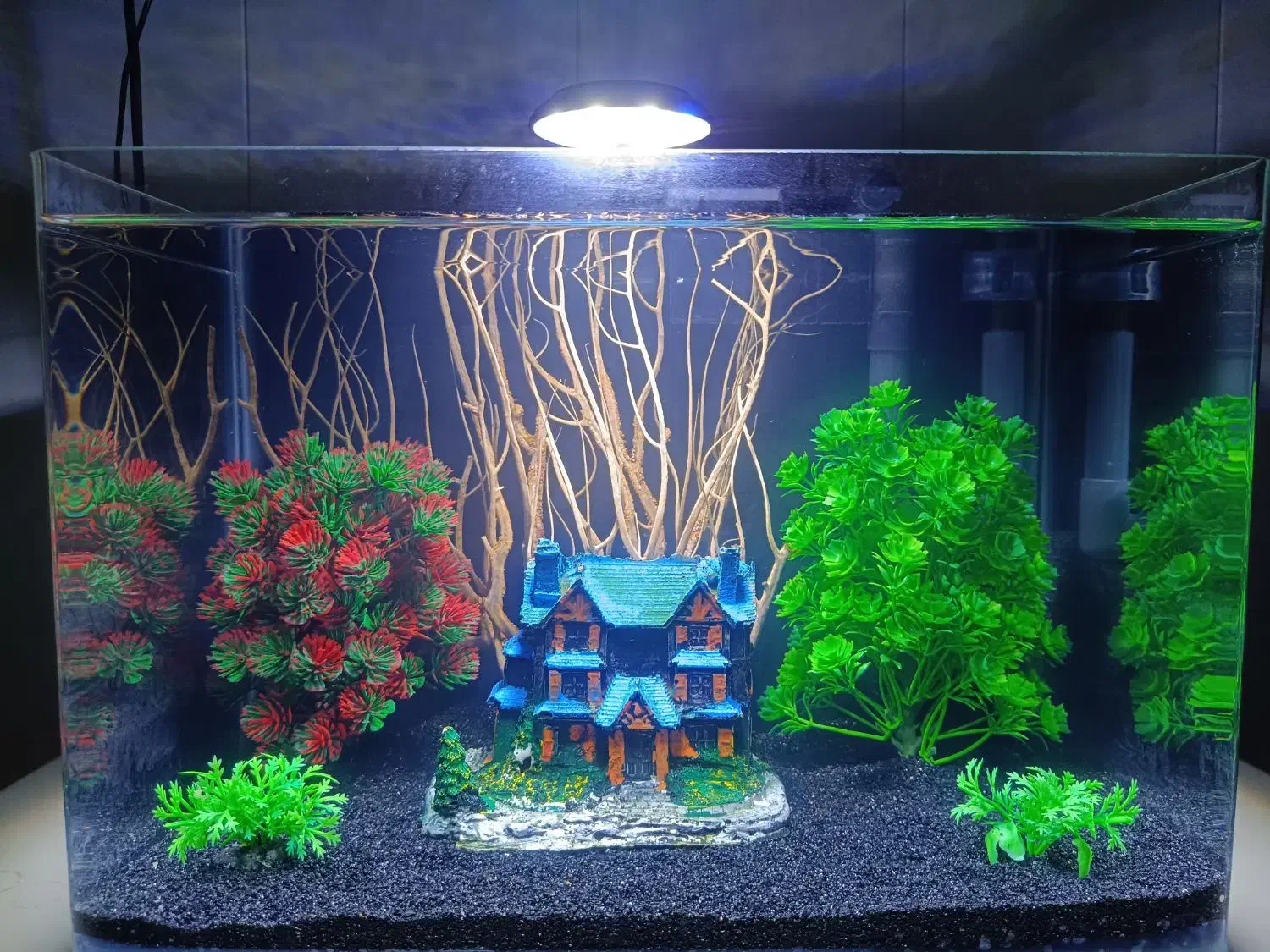 با کلیه لوازم برای فروش|ماهی|تالش, هشتپر|دیوار