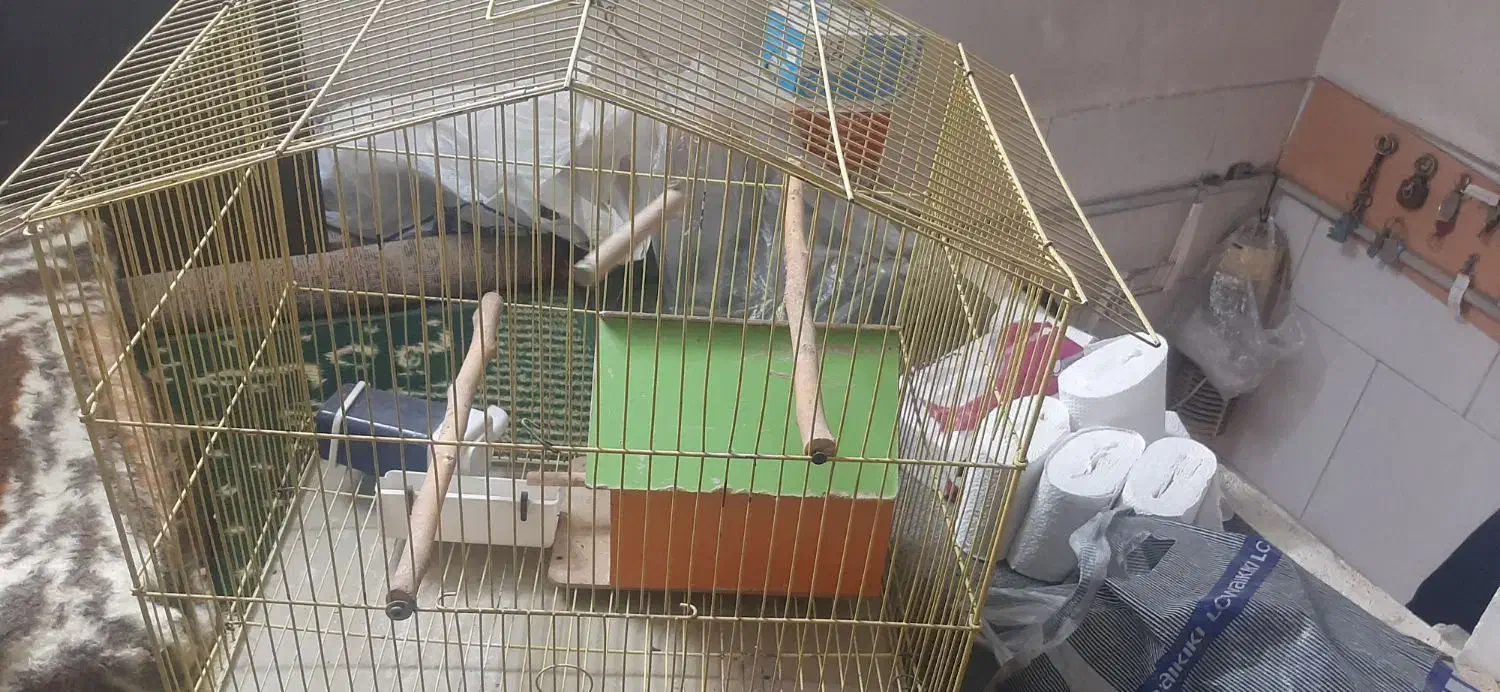 فروش قفس پرنده|لوازم جانبی حیوانات|فردیس, سپید دشت|دیوار