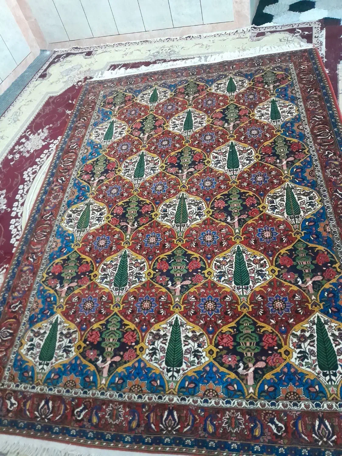 قالی دستباف چالشتر اصل|فرش|ایذه, |دیوار