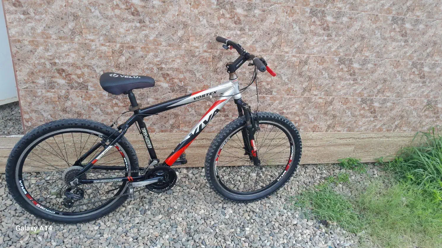 دوچرخه ۲۶ ویوا|دوچرخه، اسکیت، اسکوتر|صومعه‌سرا, |دیوار