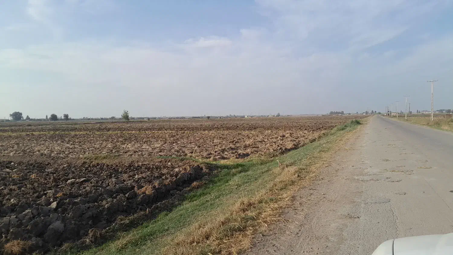 فروش زمین شالی|فروش زمین و ملک کلنگی|مزرعه کتول, |دیوار