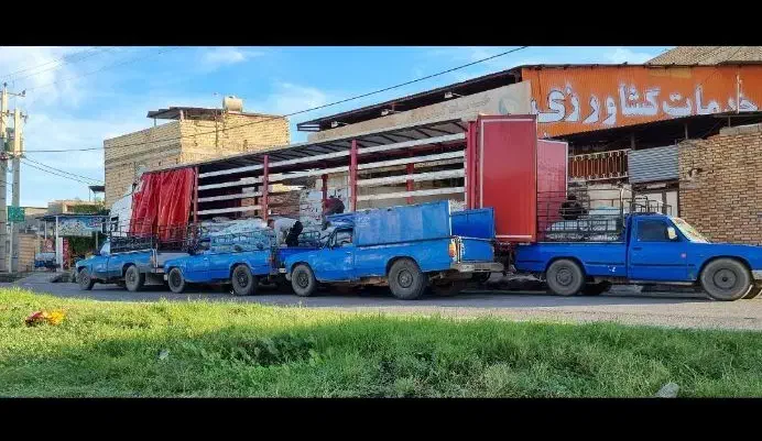 کود  پایه   برای  کشت گندم|خدمات باغبانی و درختکاری|اهواز, بهارستان|دیوار