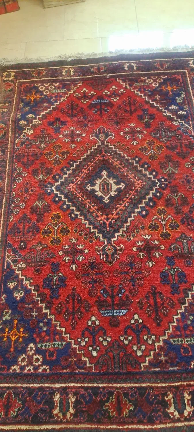 قالیچه دست بافت جوشقان کاشان|فرش|کاشان, فین کوچک|دیوار