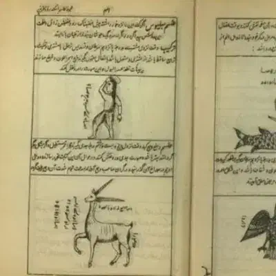 انواع تمامی دعا و همه ی تضمینی حضوری دوروزه قطعی|فعالیت داوطلبانه|نسیم‌شهر, |دیوار