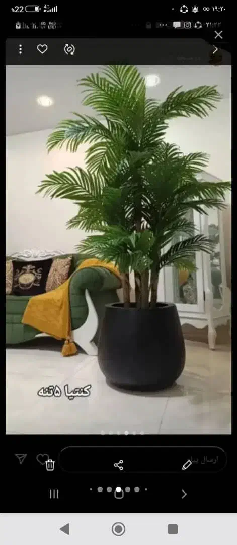 درختچه اریکا|گل مصنوعی|تهران, مشیریه|دیوار