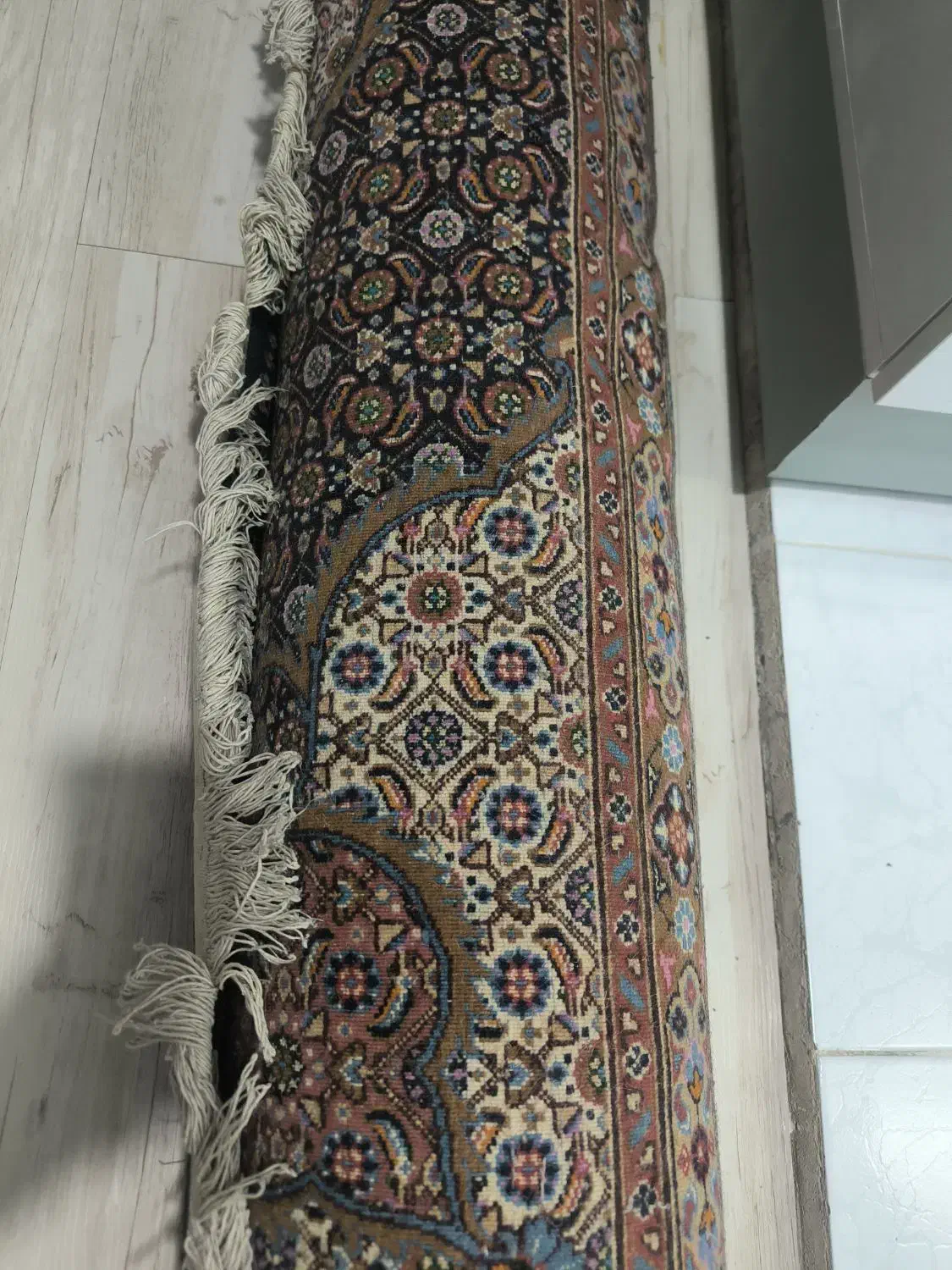 فرش دستی بیرجند|فرش|مشهد, هفت تیر (نه دره)|دیوار