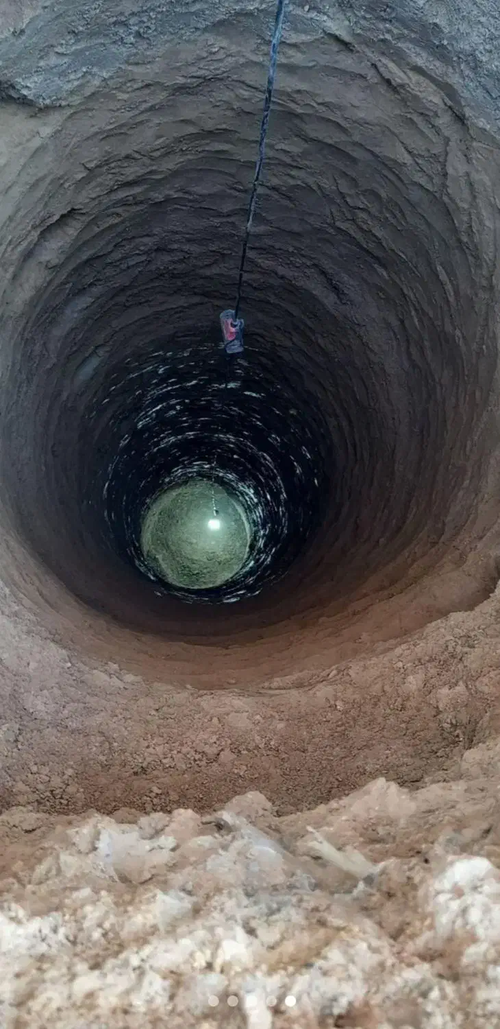 باغبانی و چاه کنی|خدمات باغبانی و درختکاری|برخوار, |دیوار