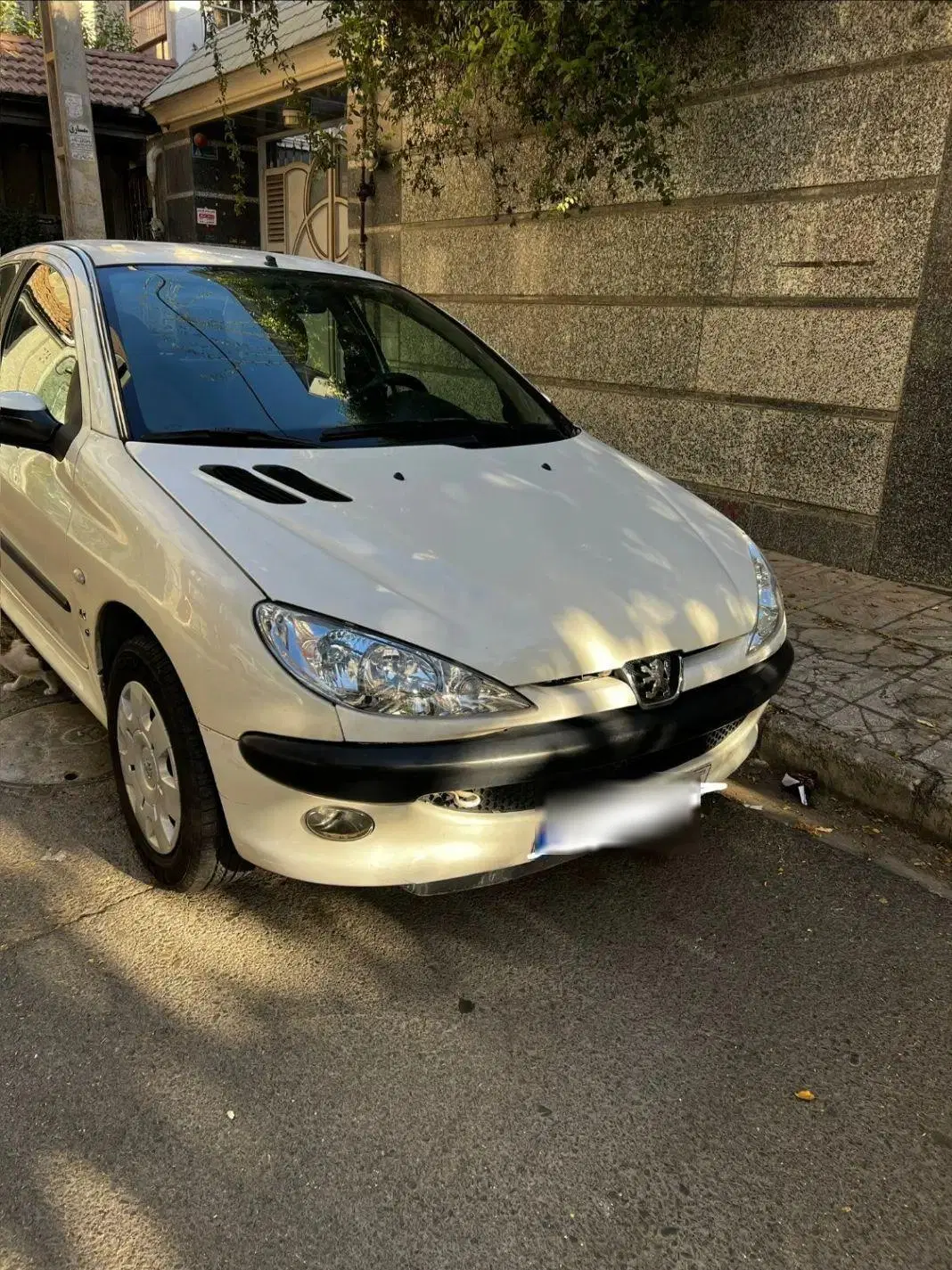 ۲۰۶ SD V8|خودرو سواری و وانت|تهران, فردوس|دیوار