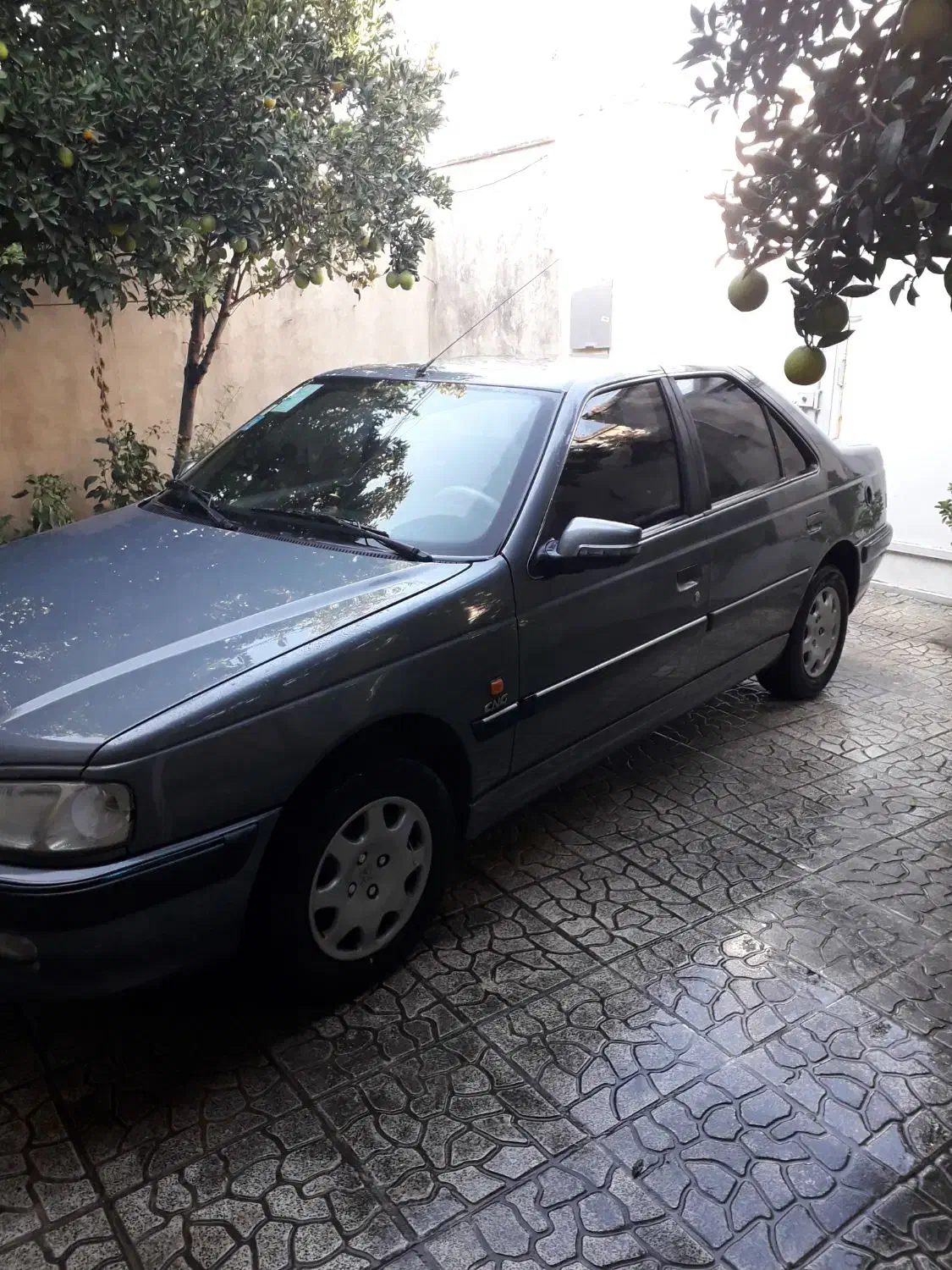 پژو پارس|خودرو سواری و وانت|بندر گز, |دیوار