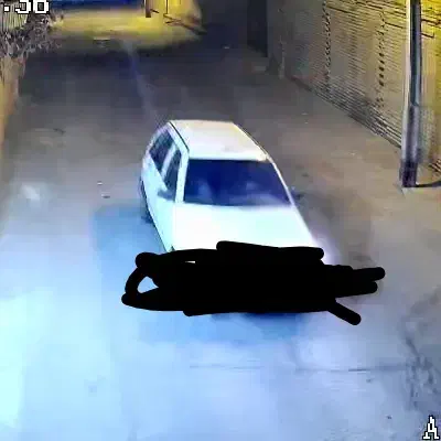 سگ اشپیتز گمشده. خیابان امام|حیوانات|رفسنجان, |دیوار