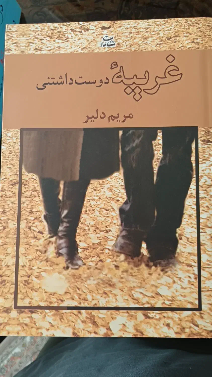 رمان جذاب|کتاب و مجله ادبی|ری, دیلمان|دیوار