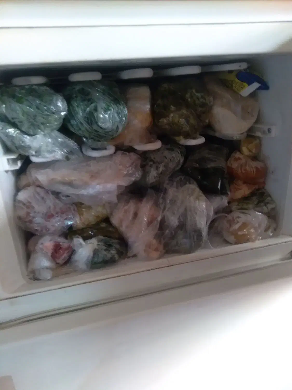 یخچال فریزر فیلور|یخچال و فریزر|ری, شهادت|دیوار