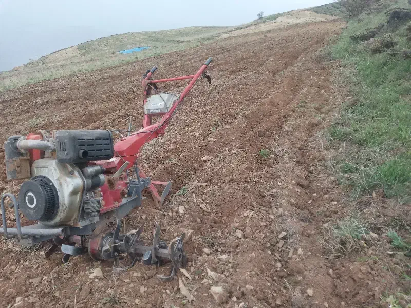 شخم باقات  حرص و خرید چوب درخت. سم پاشی|خدمات باغبانی و درختکاری|محمدیه-قزوین, |دیوار