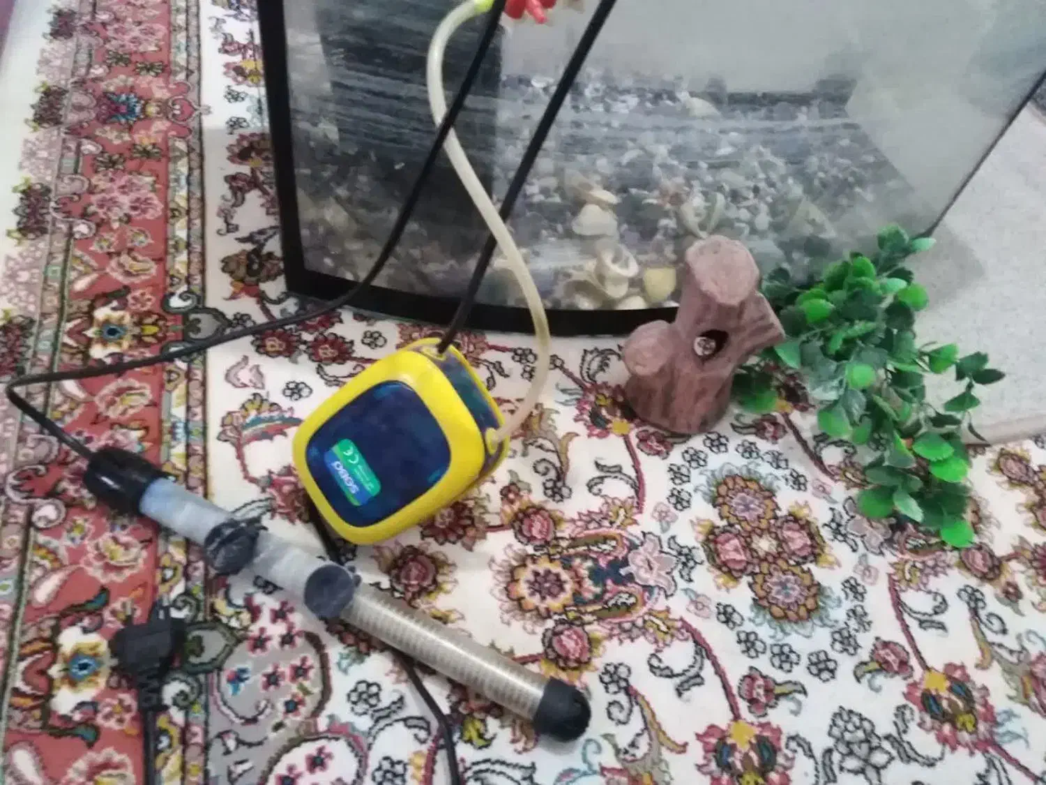 آکواریوم با تمام تجهیزات|ماهی|سهند, |دیوار