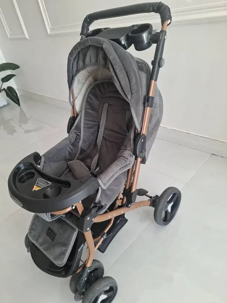 کالسکه|کالسکه و لوازم جانبی|شوش, |دیوار