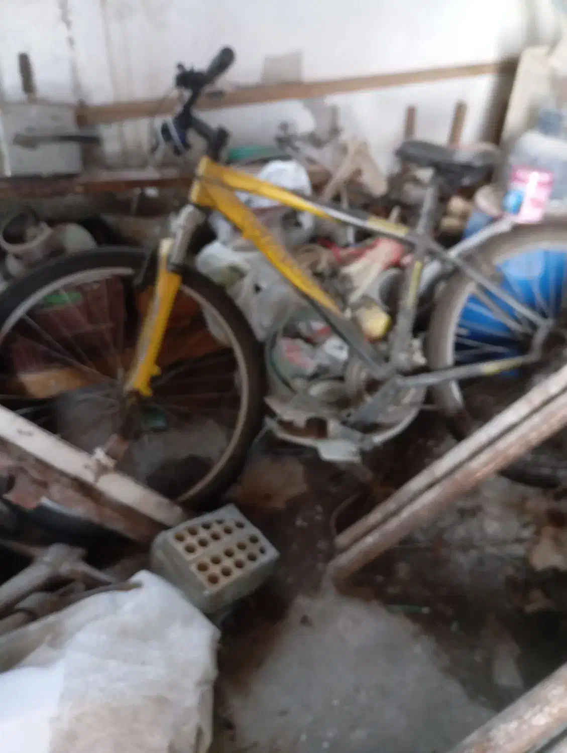 دوچرخه|دوچرخه، اسکیت، اسکوتر|چالوس, |دیوار