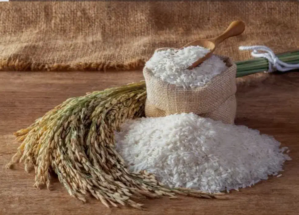 برنج هاشمی مازندران|خوردنی و آشامیدنی|تهران, باشگاه نفت|دیوار