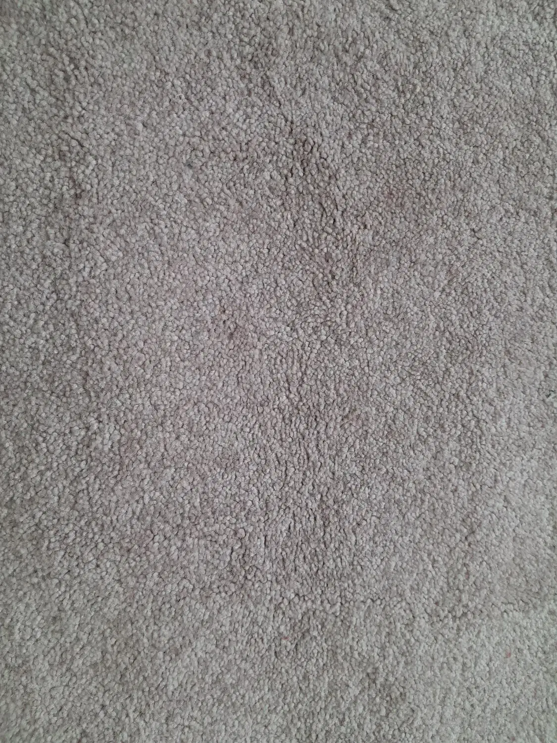 پالاز موکت|موکت|سرپل ذهاب, |دیوار