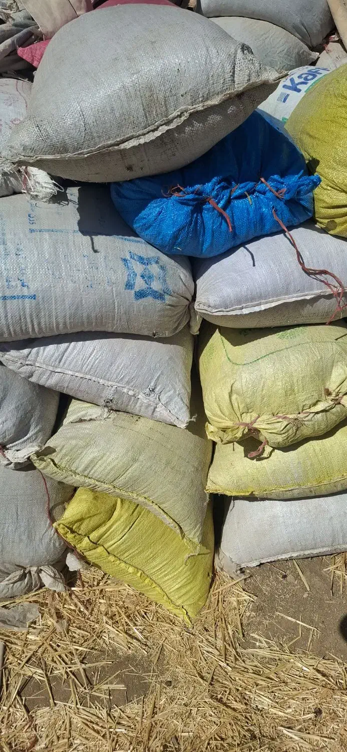 کود گوسفندای|خدمات باغبانی و درختکاری|بروجرد, |دیوار