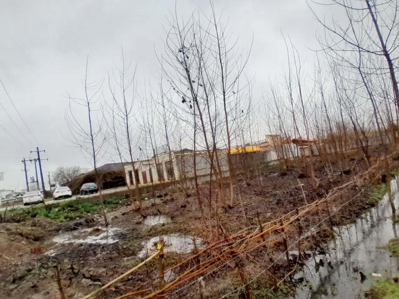 فروش یا معاوضه زمین ۱۲۰۰ تجاری در گیلان. رشت|فروش زمین و ملک کلنگی|تولم شهر, |دیوار