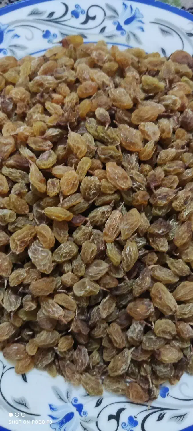 کشمش درجه یک|خوردنی و آشامیدنی|شیراز, دروازه اصفهان|دیوار