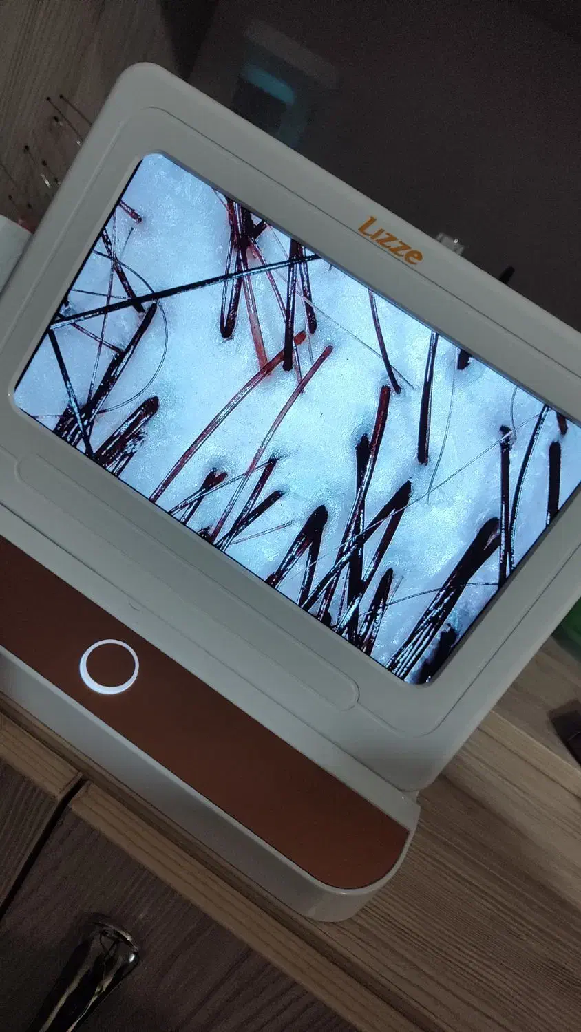 تخفیف ویژه|خدمات آرایشگری و زیبایی|رشت, صفاری|دیوار