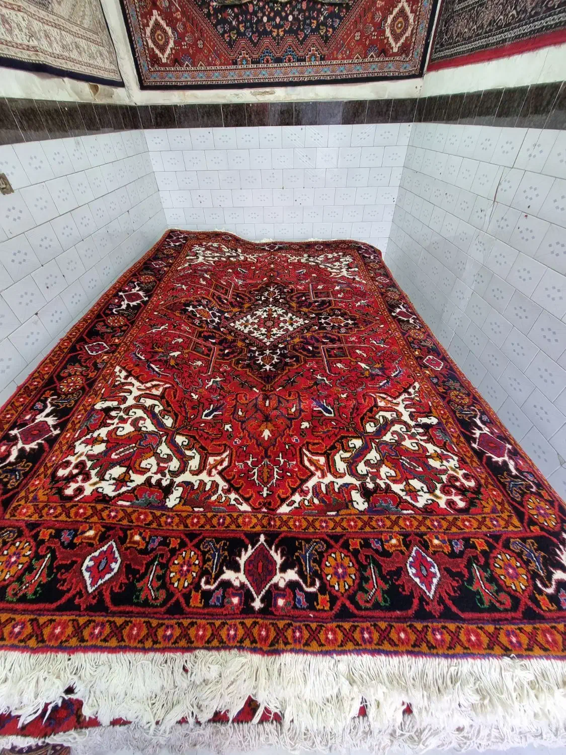 جفت های متری۶ مختلف ارزانی|فرش|مراغه, |دیوار